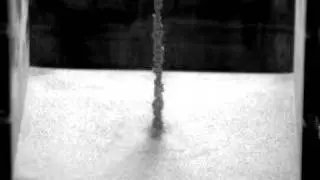 Saturated sand in action