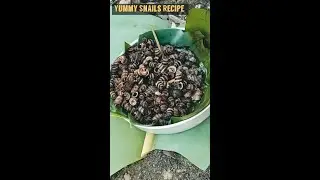 Easy River Snails Recipe