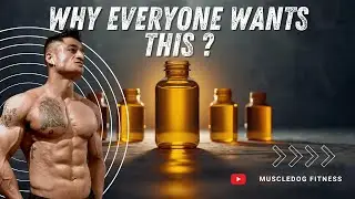 Is This the WORLD&rsquo;S BEST Compound? ⚠️ Truth Revealed