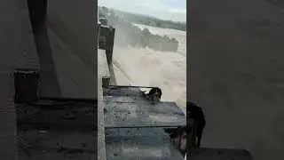 Extreme floods at Kaddam ⛈️⛈️⛈️. Gate no 18-9 open ⛩️.Mean Water level crossed 695 fts #telangana