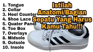 ANATOMICAL TERMS/PARTS OF SHOES THAT YOU SHOULD KNOW‼️