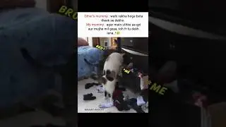 Other Moms vs My Mom 😅 #funnycats #shorts #foryou #popular #explore #viral #shorts