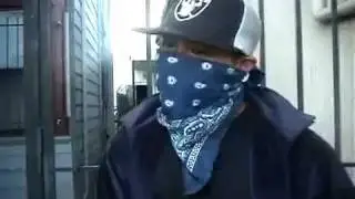 ASIAN  BOYZ  GANG