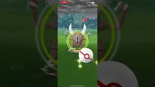 Mega Pinsir ,Raid 1