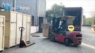 🌱🚚 Weeshine Seed Packaging Machine &mdash; Ready to Ship!