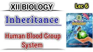 Human Blood Group System lec 6 || Inheritance Class 12 Biology
