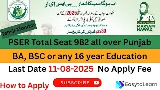 PSER 982 Tehsil Monitor Jobs 2025 | Latest Govt Jobs | How to Apply Online