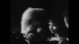 Beach Girls And The Monster Trailer