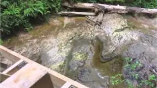West Coast Trail, British Columbia Canada - July 2010 - Part 2 of 2