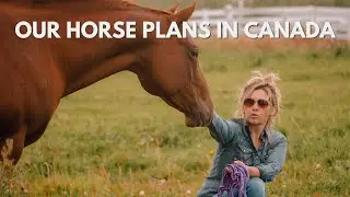 Our horse plans in Canada | Life in Alberta | January 2022