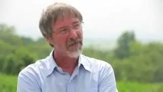 What's the environmental impact of GMOs?