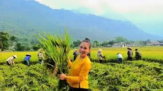 H&aacute;t Then hay: L&aacute;n Kh&aacute;ng Chiến