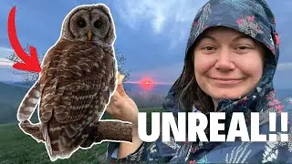 An EPIC Wildlife Encounter on the Appalachian Trail!