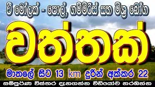 Coconut & Spice Plantation Land for Sale | Sri Lanka