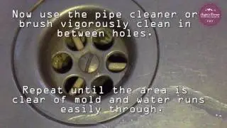 How I clean German sinks, stainless steel sinks, and moldy drains.