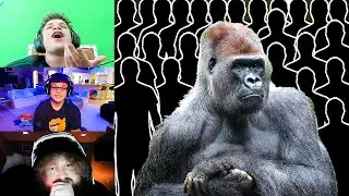 CaseOh x Jynxzi x Sketch Debate 100 People vs 1 Gorilla