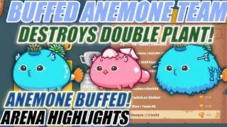 Anemone BUFF!!! ANEMONE + BACKDOOR HARE BIRD (AAB) Axie Infinity Arena gameplay | Aqua, Aqua, Bird |