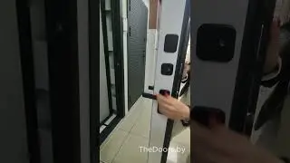 Металлическая дверь БУЛЬДОРС (Mastino) TRUST ECO PP T1 TheDoors.by