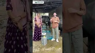 रमेश जी की डेयरी बनी पैसा कमाने की मशीन!🤑🤑#milkincrease