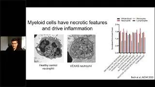 VEXAS - Learning from somatic diseases | Tuesday Lunch with RITA