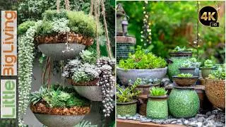 🌿 Budget-Friendly Fairy Garden Decor From Your Kitchen: DIY Upcycle Old Dishes into Whimsical Art