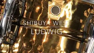 【SHIBUYA WEST 】Ludwig / LB550K 14x5 Bronze Phonic Hammered【Ludwig】