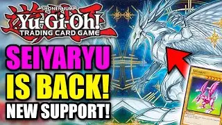 Yu-Gi-Oh! Seiyaryu is Back! The New Holy Night Archetype!