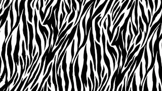 Zebra Print Screen | 10 Hours of Aesthetic Black & White Pattern