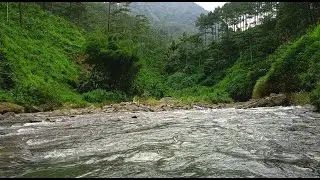 Fall Asleep Fast 😴 Pure Mountain River Sounds | Relaxing Nature Ambience