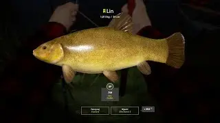 Russian Fishing 4 płocie, karasie, liny na spławik | Jezioro komarówka.