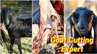 Goat Cutting Expert -Goat Legs Meat Cutting And Processing Fresh Mutton/Patna kankarbagh Mutton Shop