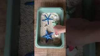 Skip Hop Montessori Discoverosity 3-in-1 Sensory Table