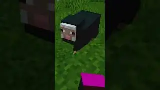 Minecraft vr con oculus quest 2
