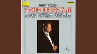 Symphony No. 7 in A Major, Op. 92: IV. Finale allegro con brio