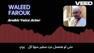 Waleed Farouk Arabic Voice over - willoways - motion graphics Egyptian Arabic selfhelp AD