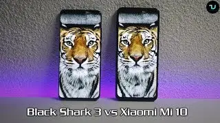 Сравнение камер Black Shark 3 и Xiaomi Mi 10/Экран/Размер/Звук/Динамики/Флагманы Xiaomi 2020 года