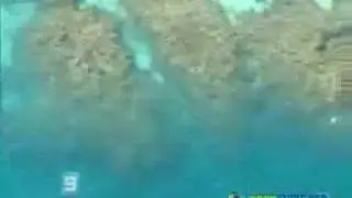 A real footage of Steve Irwin death