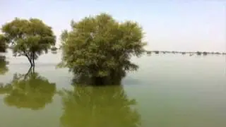 Pakistan floods 2010