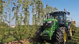 Raccolta luppolo 2016