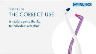 The Correct Use - CS 1006 Single Brush