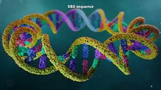 Mode of Action (MOA) Animation | 3D Medical Visualization for HIPRA