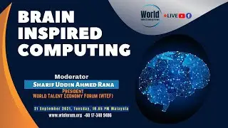 Brain Inspired Computing