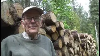 Back to the Woods