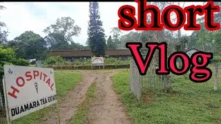 HOSPITAL Duamara Tea Estate #shortsvlog  @kpgroupsidhu #Aajna