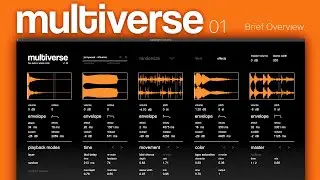 Multiverse: Introduction (VST, AU)