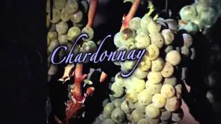 Un recorrido por bodegas y viñedos en Cafayate