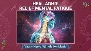 Vagus Nerve Stimulation Music - Deep Healing For ADHD, Anxiety & Mental Fatigue Relief