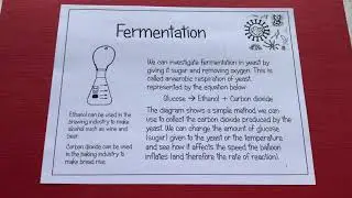 KS3 Microbes & Genetics - Fermentation