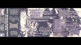 Anal Birth - 19 Untitled Tracks