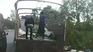 Farmers dump watermelons near Myanmar&rsquo;s border with China